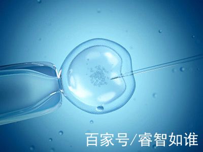 关于青碧生殖